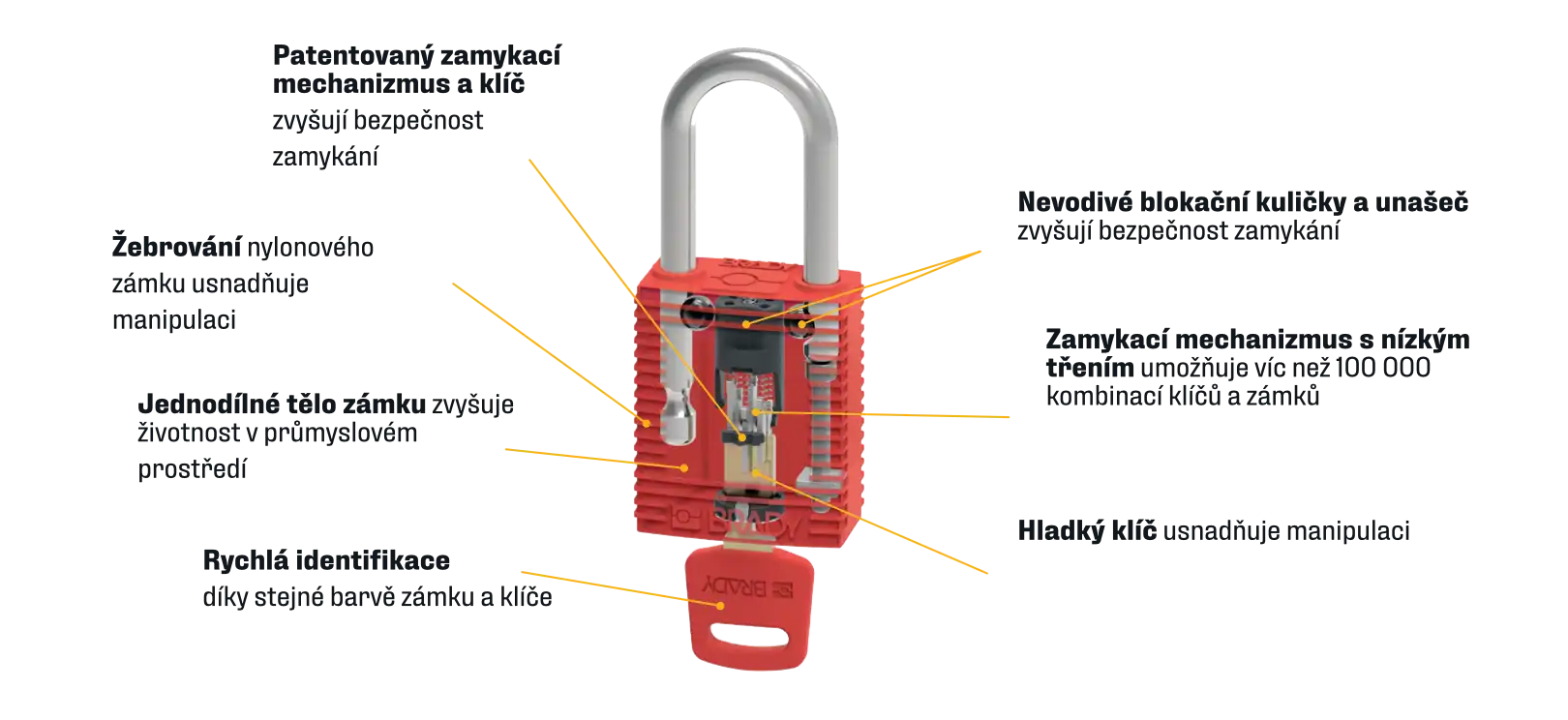 SafeKey – infografika