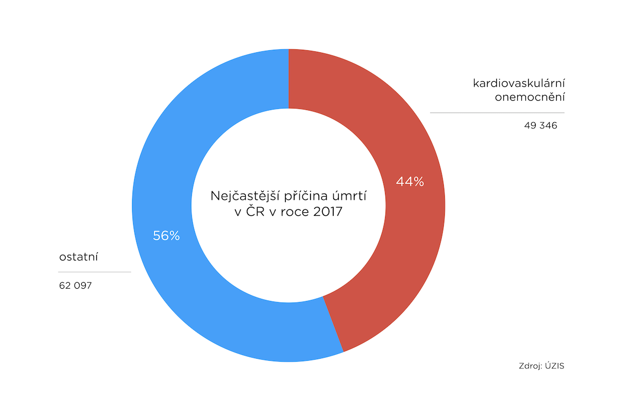 Graf s nejčastější příčinou úmrtí v ČR